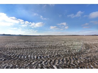 Property photo 39 - MAJOR, HIGH QUALITY LAND AUCTION - 346+/- ACRES OFFERED IN 8 TRACTS IN JACKSON COUNTY, INDIANA